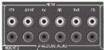 ARCAM AVR390 - Analoge Audio-Eingänge - 1