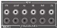 ARCAM AV860 - Ingressi analogici audio - 1