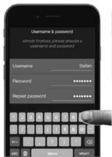 HAGER TKP100A - This is how the Classic Users and Restricted Users may connect to their installation - 2