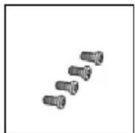 Sonnenkönig Venus 20030162 - 2