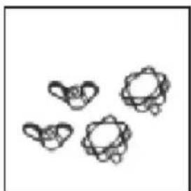 Sonnenkönig Venus 20030162 - Content of packing - 4