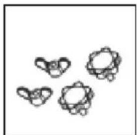 Sonnenkönig Venus 20030162 - Contenuto della confezione - 4