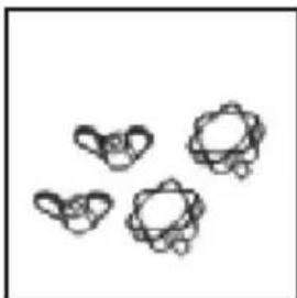 Sonnenkönig Venus 20030162 - Packungsinhalt - 4