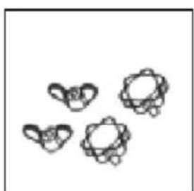 Sonnenkönig Mars 20020262 - Content of packing - 4