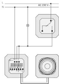 Gira 228003 - Utiliser la même phase - 2