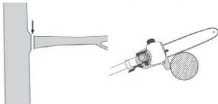 FLORABEST FBK 4 B2 - Scier une petite branche - 1