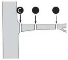 FLORABEST FBK 4 B2 - Odrézávání po kouskách - 1