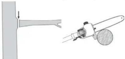 FLORABEST FBK 4 B2 - Sawing off small branches - 1
