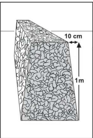 FLORABEST FBK 4 B2 - DE/AT/CH Bedienungsanleitung Seite 1 - 36
