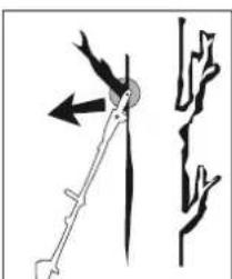 FLORABEST FBK 4 B2 - ATTENTION AU REBOND! - 2