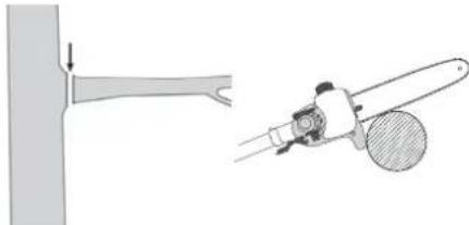 FLORABEST FBK 4 B2 - Absagen eines kleinen Astes - 1