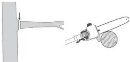 FLORABEST FBK 4 B2 - Serrar um ramoypequeno - 1