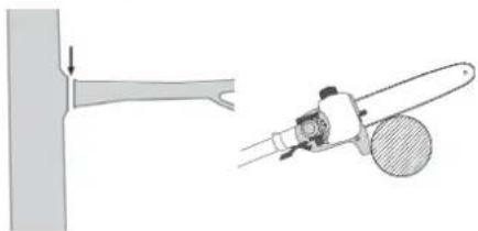 FLORABEST FBK 4 B2 - Afzagen vankleine takken - 1