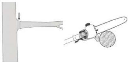 FLORABEST FBK 4 C2 - Afzagen vankleine takken - 1