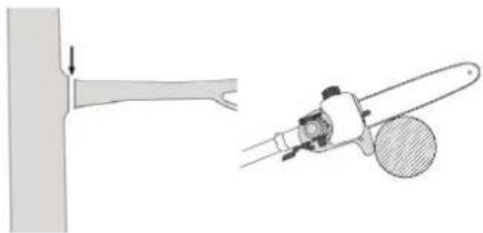 FLORABEST FBK 4 C2 - Absagen eines kleinen Astes - 1