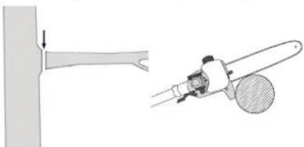FLORABEST FBK 4 C2 - Scier une petite branche - 1