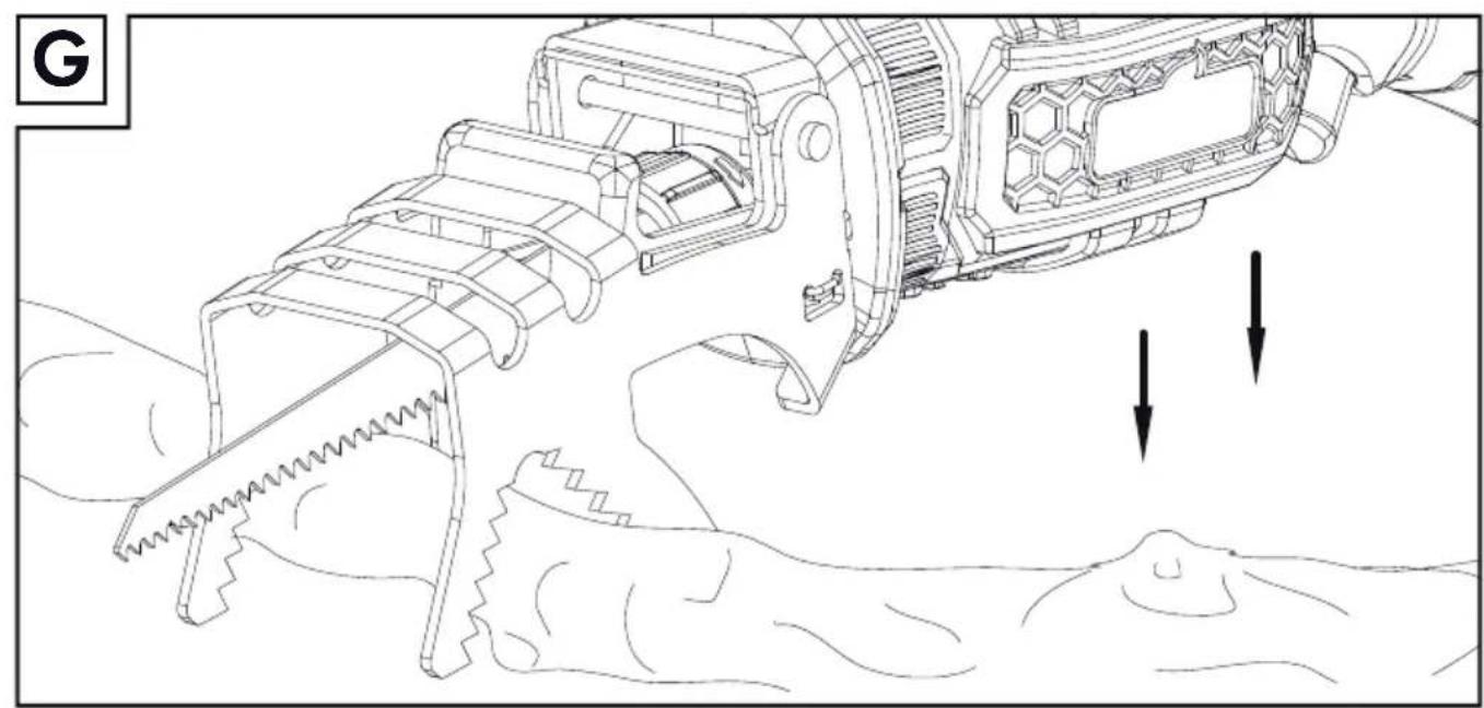 FLORABEST FAAS 12 B1 - FR BE - 7