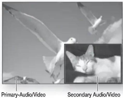 Primary-Audio/Video Secondary Audio/Video