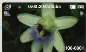 SAMSUNG HMXF90BP - Exemple d'enregistrement par intervalle - 6