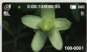 SAMSUNG HMXF90BP - Exemple d'enregistrement par intervalle - 4