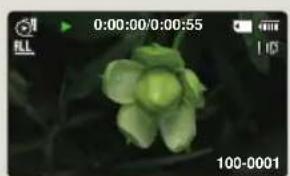 SAMSUNG HMXF90BP - Exemple d'enregistrement par intervalle - 2