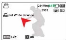 SAMSUNG SMXF70SP - Pour régler manuellement la balance des blancs - 1