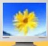 SAMSUNG SyncMaster 192V - Dot anwendbar - 1