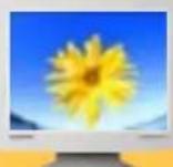 SAMSUNG SyncMaster 192V - Dot anwendbar - 1
