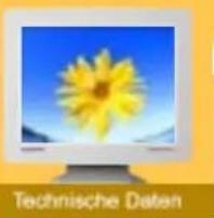 SAMSUNG SyncMaster 192V - Dot anwendbar - 1