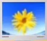 SAMSUNG SyncMaster 171S - Windows XP/2000 - 2