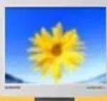 SAMSUNG SyncMaster 171S - NETHERLANDS/BELGIUM/LUXEMBOURG : - 1