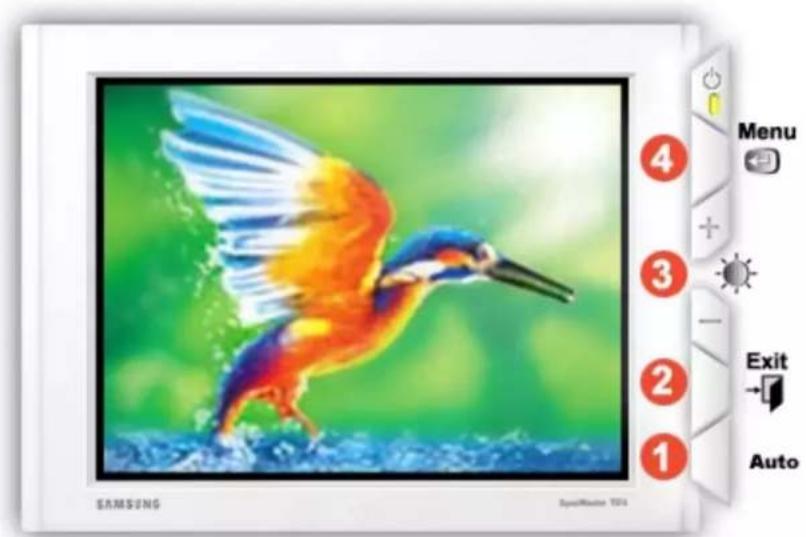 SAMSUNG SyncMaster 171S - Affichage sur écran - 1