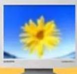 SAMSUNG SyncMaster 171S - Conventions de notation - 5