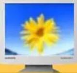 SAMSUNG SyncMaster 171S - Vérifiez les éléments suivants pour voir s'il y a des problèmes avec le moniteur. - 1