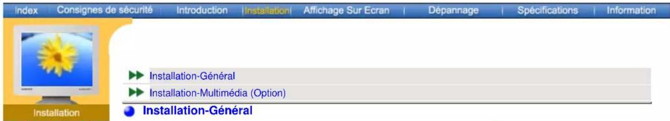 SAMSUNG SyncMaster 171S - Installation-multimédia (option) - 5