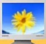 SAMSUNG SyncMaster 171S - Conventions de notation - 13