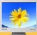 SAMSUNG SyncMaster 171S - Conventions de notation - 3