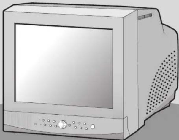 SAMSUNG SMO210TRP - 1