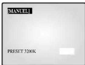 SAMSUNG SMO210TRP - BALANCE DES BLANCS: ATW.AWC, MANUEL... - 1