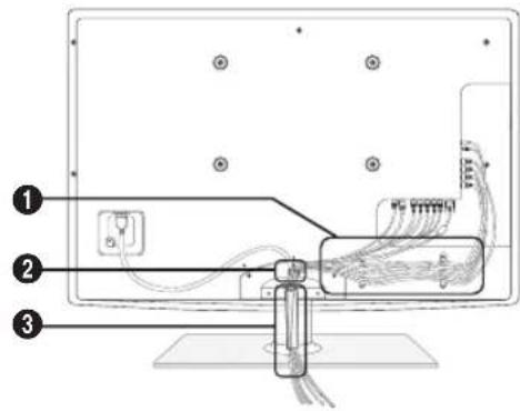 SAMSUNG UE55C6005RW - Stojeci - 1