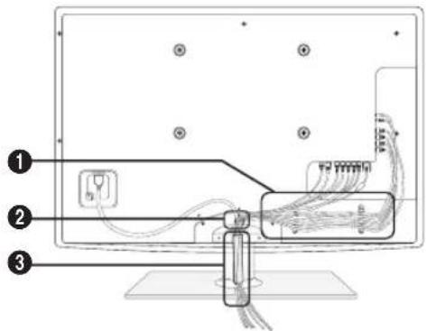 SAMSUNG UE55C6540SK - Stojeci - 1
