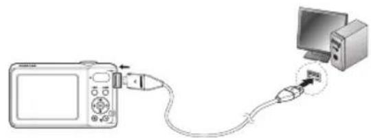 SAMSUNG PL81 - nntaaaWanw (Windows) - 1
