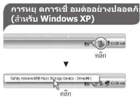 SAMSUNG PL81 - nntaaaWanw (Windows) - 2