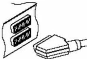 Lenson LD 9000 - Raccordement de votre magnétoscope ou enregistrure - 1