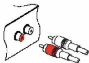 Lenson LD 9000 - Raccordements audio - 1