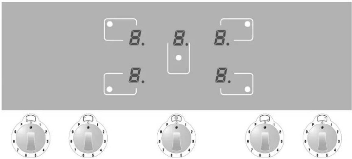 Steel Cucine Party - Prima accensione del piano ad induzione - 1