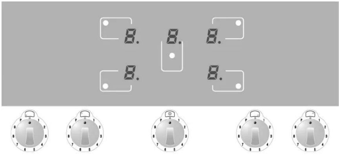 Steel Cucine Party - Switching on the induction hob for the first time - 1
