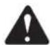 GREENWORKS 22247 - WARNING: - 1