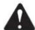 GREENWORKS 22247 - WARNING: - 1
