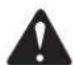 GREENWORKS 22247 - ADVERTENCIA: - 1